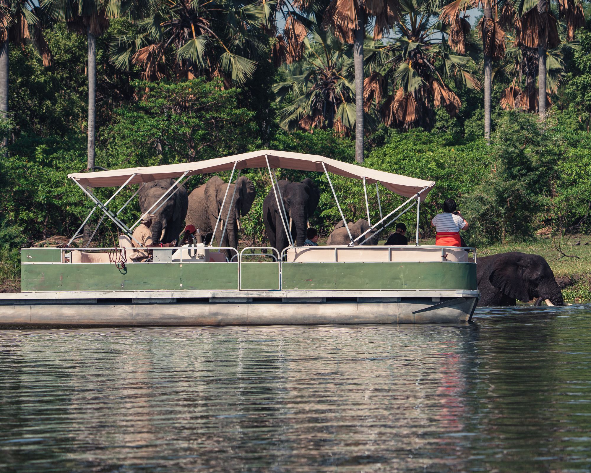 Safari & Splash: Big-Game Meets Lake Adventure